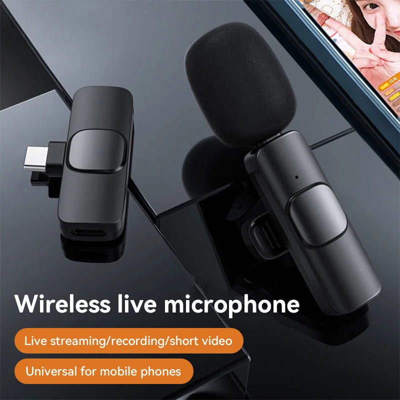 Portable Mini Wireless   Microphone
